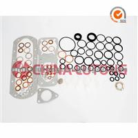 Ve Fuel Pump Rebuild Kit OEM NO.2 417 010 002-Auto Performance Parts