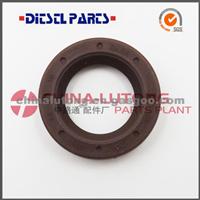 Oil Seal 17*28*7 F Diesel Injector Repair Kits