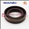 Oil Seal 20*31*7 F Diesel Pump Repair Kits - img1