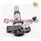 Diesel Plunger 2 418 455 333-Diesel Element 2455-333 - img4