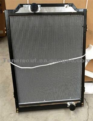 High Performance Auto Radiator 5715000201