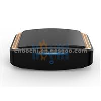 Car Air Purifier BMAACP-16121406 With Unique Design