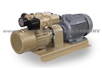 DSS-H Serice Vacuum Pumps