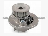 Water Pump 1334077