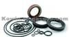 Auto Seals Hydraulic Oil Seal