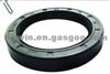 Auto Seals Auto Parts Hydraulic Viton/FKM Rubber Tc Oil Seal