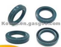 Auto Seals Tcn Automobile Fluorine Rubber High Pressure Skeleton Oil Seal