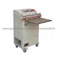 External Vacuum Packager High Quality DZ-600W (Chinacoal02)