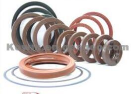 Auto Seals Various Oil Seal-Tc NBR Oil Seal Manufacturer