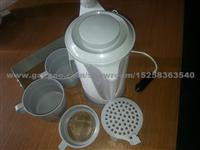 Stainless Steel Car Electric Kettle