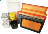 OE Quality Auto Air Filter With ISO/Ts16949 Certified