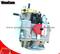 China Nt855 PT Fuel Pumps 3655233 Cummins Oil Pump