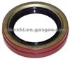 Oil Seals 4897297AA