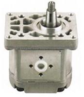 Fiat Hydraulic Pump 480