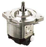 Renault Hydraulic Pump 5000787865 / 555224771