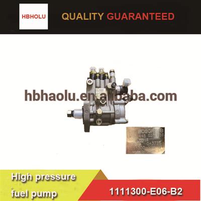 Great wall Wingle High pressure fuel pump 1111300-E06-B1 for 2.5TCI