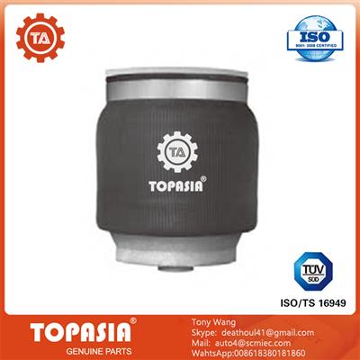 TOPASIA Brand New Truck Air Spring Suspension For SEAT 864-Z SZ60-6 3.1396