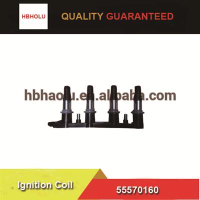 GM Chevrolet Ignition Coil 55570160 96476979