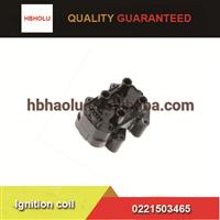 
Chery Chang'an Ignition coil 0221503465 with good quality
