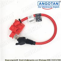OEM NO.61129225099 Battery Cable for BMW F25