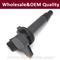 IIGCTY002 Car Parts Ignition Coil For Toyota Avanza 19070-BZ040