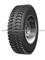 TBR TYRE F806