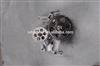 Truck engine spare parts D5010477184 oil fuel pump for renault truck