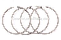 
Small Auto Engine Parts Piston Oil Control Rings Oil Scraper Rings
