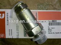 
Cummins original pressure relief valve 4899831
