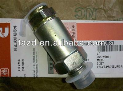 Cummins original pressure relief valve 4899831