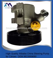 
POWER STEERING PUMP for PEUGEOT 306 GTI6 GTI 69633889680 26086656