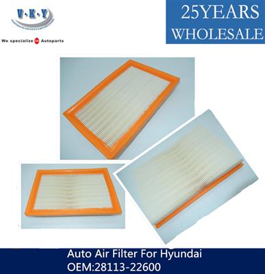 28113-22600 Auto Air Filter For Hyundai