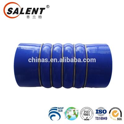 OEM A0005010082 Automotive Intercooler Truck Silicone Hose