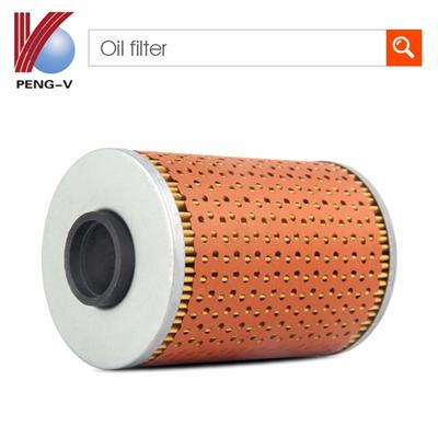 Hot Sale Auto Lube Oil Filter 11429063138