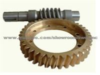 China Transmission Gear Worm Gear By Precision CNC Machining