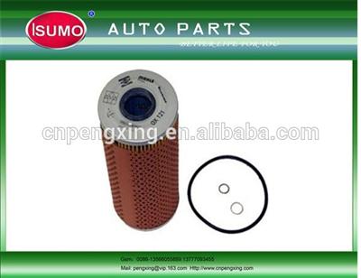 Oil Filter / Auto Oil Filter / Engine Oil Filter for BMW 11421713698/1142 1713 698