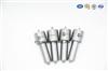 Diesel Nozzle 0 433 171 043 DLLA150P43