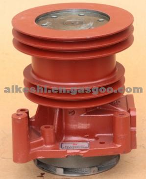 Water Pump 612600060694