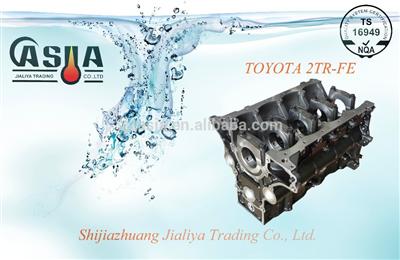 Cylinder Block for Toyota 2TR-FE