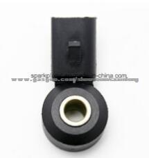 Knock Sensor Skoda 1205185 Ym21-12A699-Ba 030905377c 0261231146 3300010o2r China Knock Sensor