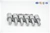 Benz Nozzles DLLA134S999