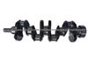 8-94443-662-0 Iron 800-2 Crankshaft For Isuzu 4jb1 Engine China Crankshaft