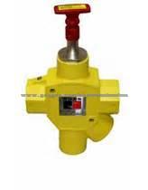 Ross Safety Valve