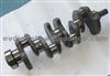 S4D102 S4D102E Crankshaft 4D102 4D102E SA4D102E SAA4D102E SAA4D102 SA4D102E China Crankshaft