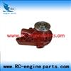 DOOSAN D1146 Water Pump