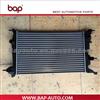 Renault Megane Radiator 214100002R