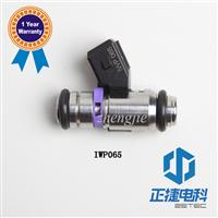 
Auto Spare Part Car Engine Fuel Injector IWP065 For Fuel Injection System 501.013.02
