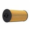 North America 3C3Z-6731-AA 1840752-C91 Light Duty Truck Oil Filter