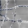 Hot-Dip Zinc Plating Barbed Wire