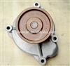 Donfeng diesel water pump assembly 1307BF11-054